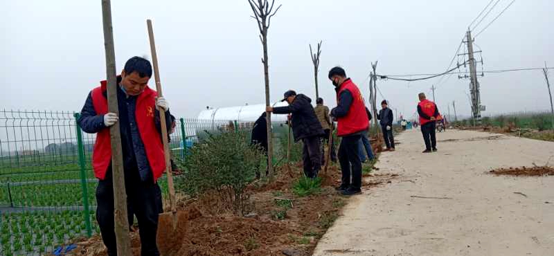 河滨街道组织开展春季绿化植树活动1.jpg